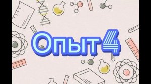 Окружающий мир. 3 класс. Состав почвы