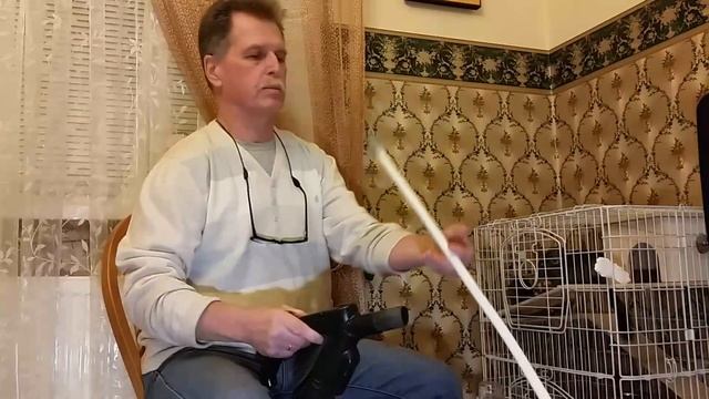 Пылесос для шиншиллы.