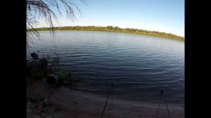 РЫБАЛКА НА ДОНУ В ВОЛГОГРАДСКОЙ ОБЛАСТИ!!! ЛОВЛЯ САЗАНА И КАРАСЯ!!! ВЫЛОВИЛИ ДОНСКОГО МОНСТРА!!!