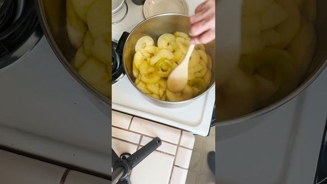 Fast Easy Peeler And Applesauce
