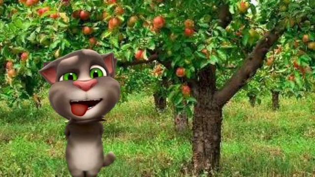 Talking Tom Eating Apple | Talking Tom Cartoon Series смотреть онлайн