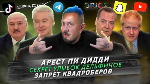 № 556 Арест Пи Дидди / Секрет улыбок дельфинов / Запрет квадроберов