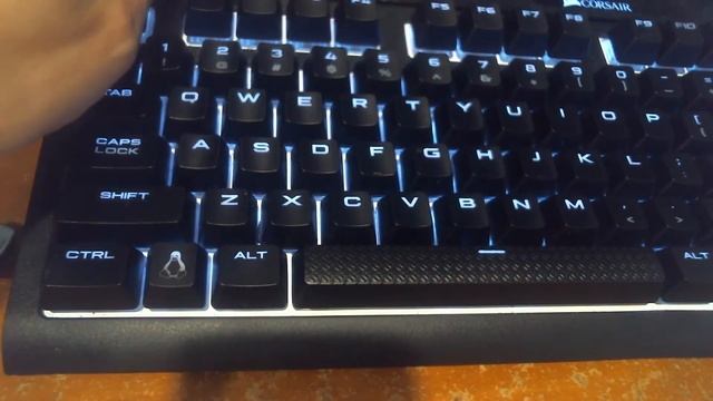 Custom Tux super/meta keycap's from maxkeyboard.com смотреть онлайн