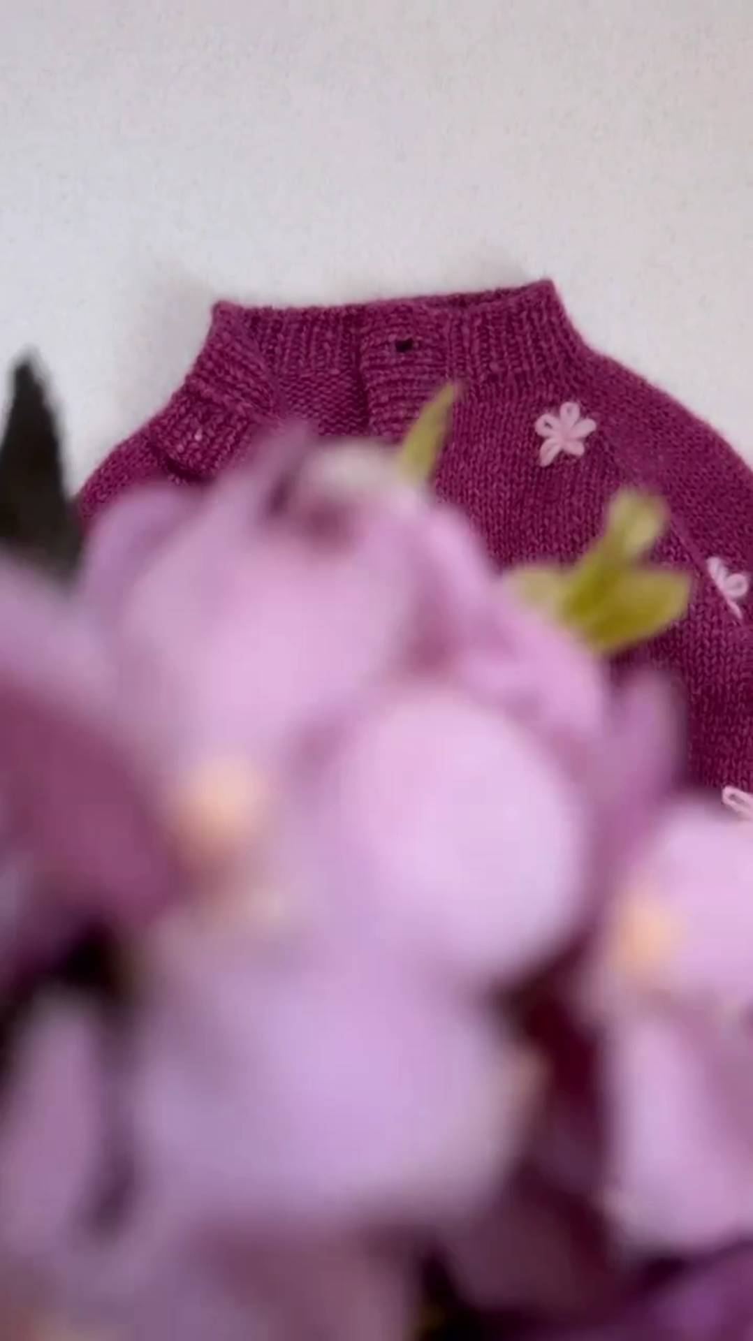 Моя любимая альпака смотреть онлайн