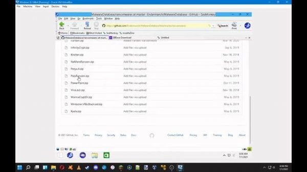 Destroying Windows 8.1 64bit