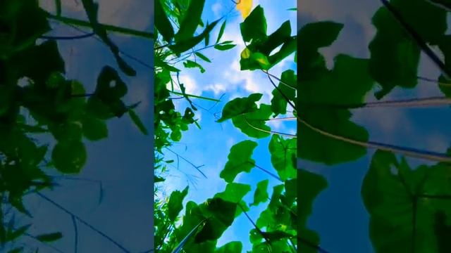 Iphone 13 Pro Max In Water#funny #tech #smartgadgets смотреть онлайн
