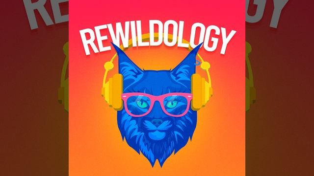 #145 |  Revolutionizing Wildlife Tracking Technology with Debbie Saunders, PhD смотреть онлайн