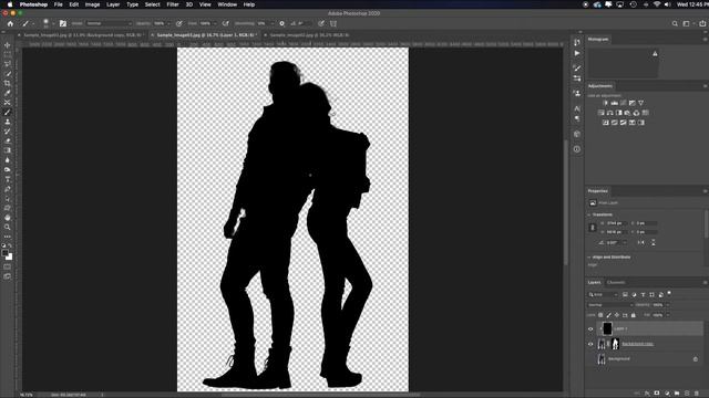 How to Make a Silhouette (meter choice in Camera & just one click in Photoshop) смотреть онлайн