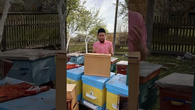 Петр Голик: Как ловить диких пчел ? смотреть онлайн