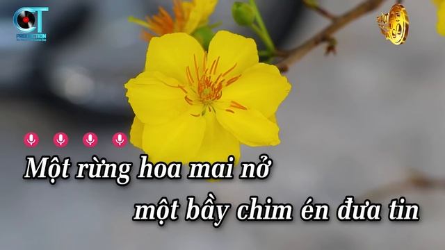 Karaoke Ước Nguyện Đầu Xuân Tone Nữ Nhạc Xuân 2024
