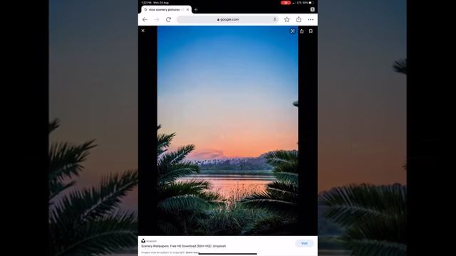 How to copy and paste an image on iPad Pro 2020 смотреть онлайн