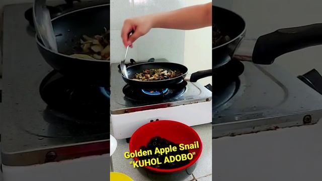 ADOBONG KUHOL - Golden Apple Snail (My Own Version) смотреть онлайн