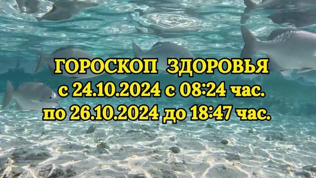 "ГОРОСКОП ЗДОРОВЬЯ с 24 по 26 ОКТЯБРЯ 2024 года!!!" смотреть онлайн
