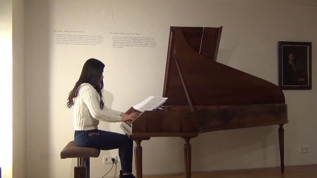 독일 김정희 피아노 Junghee Kim PIANO - 함머클라비어 모짜르트 바리에이션 смотреть онлайн