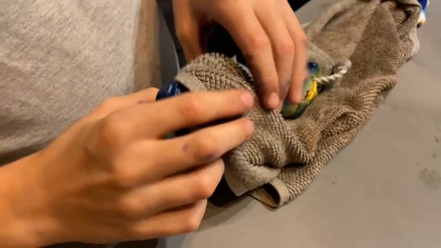 Семейка Крудс смотреть онлайн