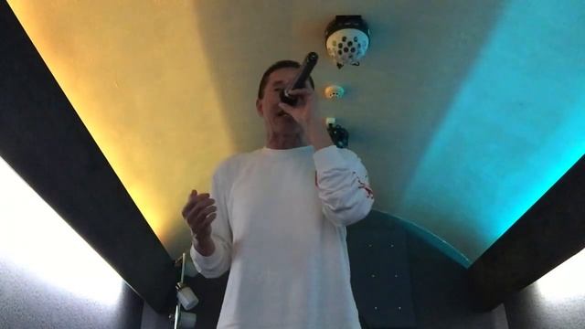 点描の唄-Mrs.GREEN APPLE （feat.井上苑子）　一人で歌ってみました。#点描の唄 смотреть онлайн