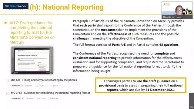 Minamata Online Season 2: Briefings On Documents Tabled At COP-4.1 (Session 1)