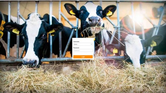 Network Tools Windows explorer смотреть онлайн