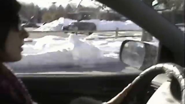 ThatDonkeyGuy: Backseat Driver PSA смотреть онлайн