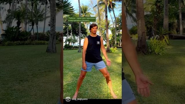 Изучаем Тайцзи с нуля. Урок 3: вращение осей ног смотреть онлайн