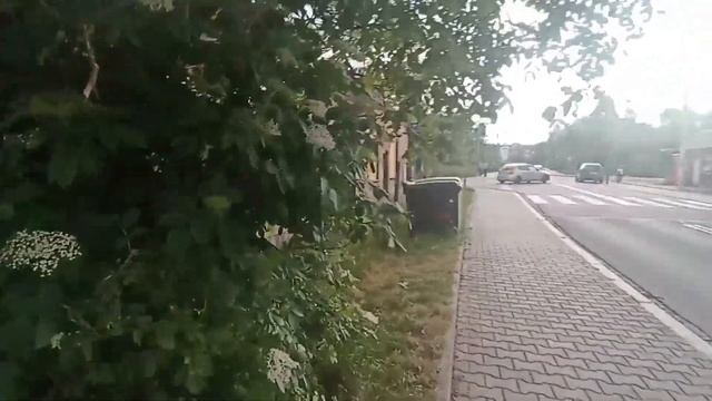 Jak trwa życie dziewczyn z Ukrainy w Polsce 👆 Spacerujemy razem смотреть онлайн