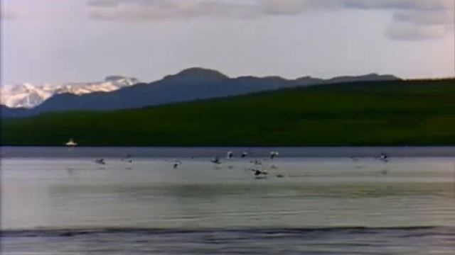 Windows Media Player-Lake смотреть онлайн