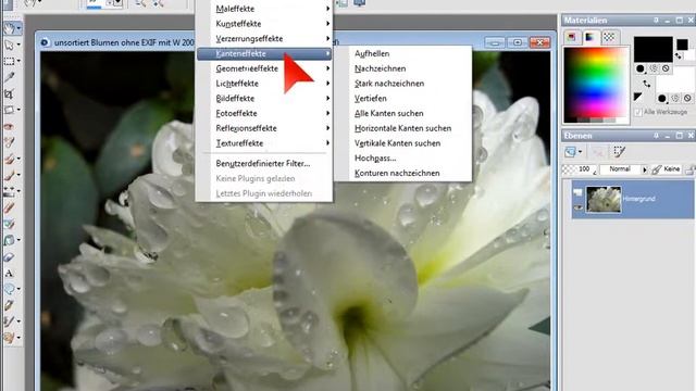 Foto Bearbeitung Adobe Photoshop Akternative Corel Paint Shop Pro Photo XI смотреть онлайн