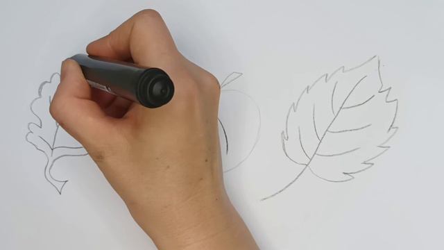 Рисование и раскраска листьев. Drawing and coloring leaves смотреть онлайн