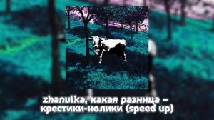 zhanulka feat. какая разница – КРЕСТИКИ-НОЛИКИ (speed up)