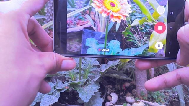 Google camera vs Cam Stock LG G6 y G6+ - Android 9 GCAM смотреть онлайн