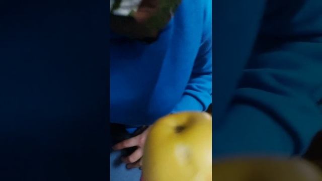 Using nunchucku to battle my friend and destroy an apple🤣🤣 смотреть онлайн