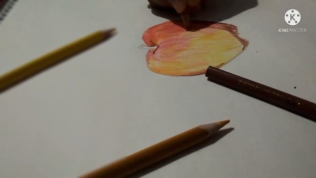 Pencil Color Apple