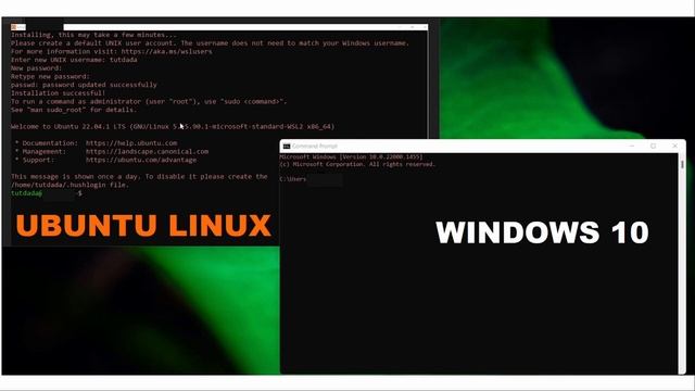 How to Install Ubuntu Linux together with Windows 10 [Pidgin + English] смотреть онлайн