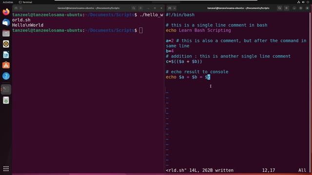 Bash Shell Scripting Tutorial 7 - Comments смотреть онлайн