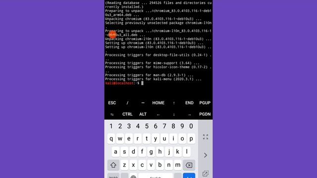 How To Install Chromium Browser In Kali Linux Android | Fix All Issues! смотреть онлайн