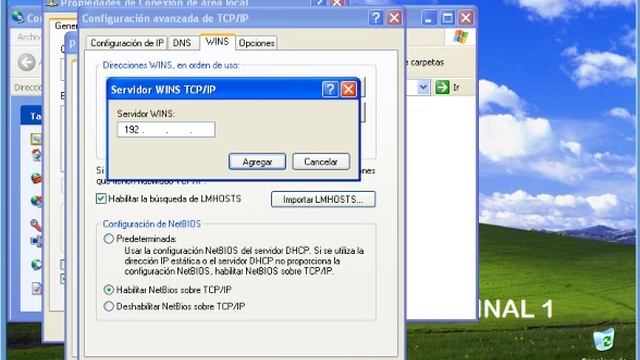 10. WINDOWS SERVER 2008 TEORIA TERMINAL SERVER.mp4 смотреть онлайн