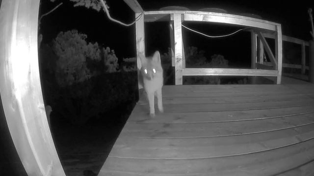 52M1857GA7848 0000007b 20190225 014616 смотреть онлайн