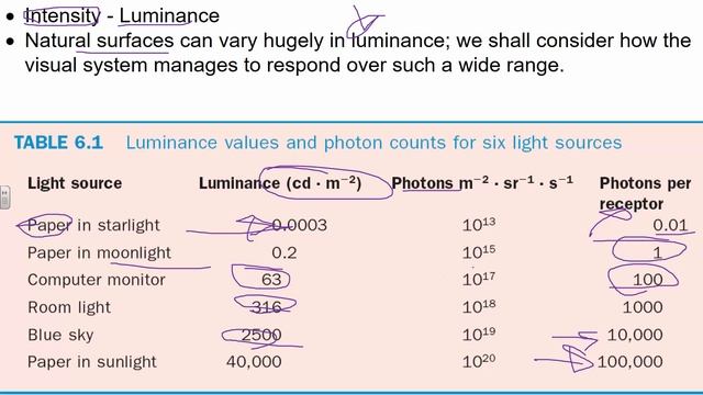 PSY 324 Physics of Vision 2-14-18 смотреть онлайн