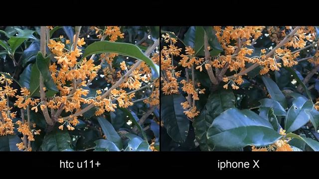 Hasil Camera HTC U11 Plus Setara Dengan Iphone X смотреть онлайн