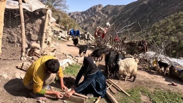 The Atabek family are animal lovers: building a place for goats and disinfecting them