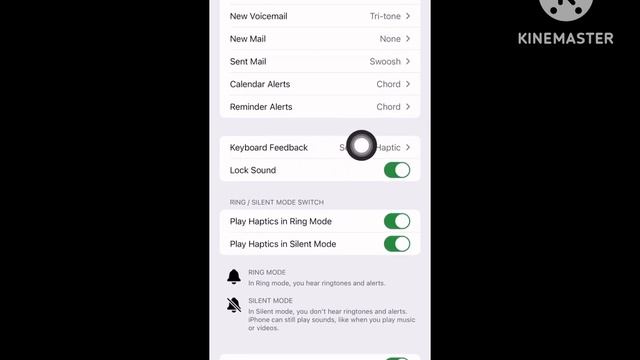 How to turn off | on keyboard sound and vibration on iPhone 14 pro max смотреть онлайн