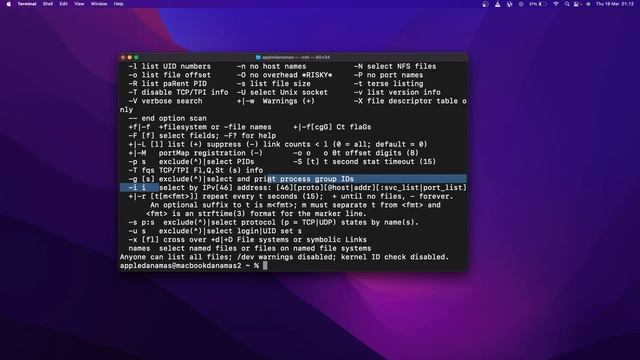 Cara Kill/Mematikan Port Yang Telah Digunakan Di MacOS смотреть онлайн