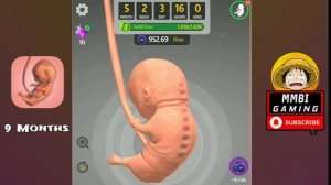 9 MONTHS : ALL TRANSFORMATION IN TIME LAPSE