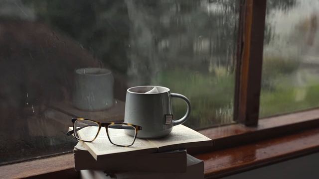 Cozy Light Rain Against Window Sounds смотреть онлайн