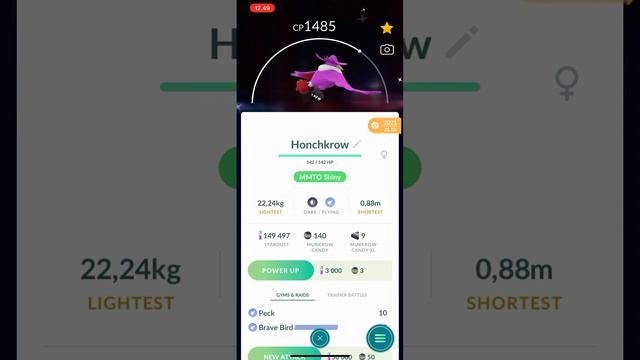 Pokemon GO - Shiny Murkrow and Shiny Honchkrow (iPhone 12 Pro Max) Pokémon GO смотреть онлайн