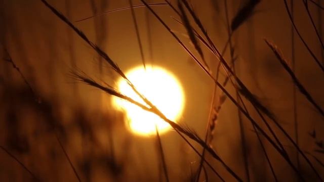 LiL Peep   Teen Romance [Lyrics] + [Rus Sub]