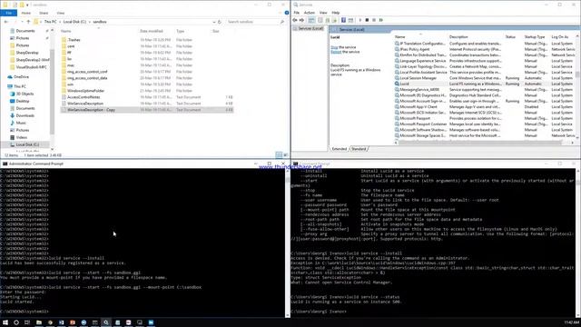 Lucid as a Windows service Demo смотреть онлайн