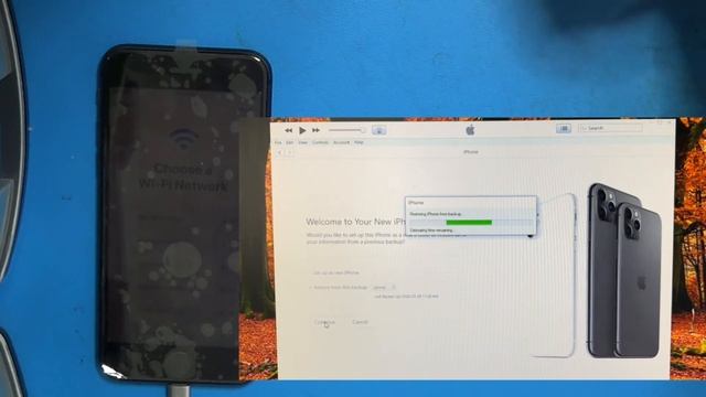 Restore Data from iTunes Backup смотреть онлайн
