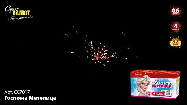 СС7017_2024 смотреть онлайн