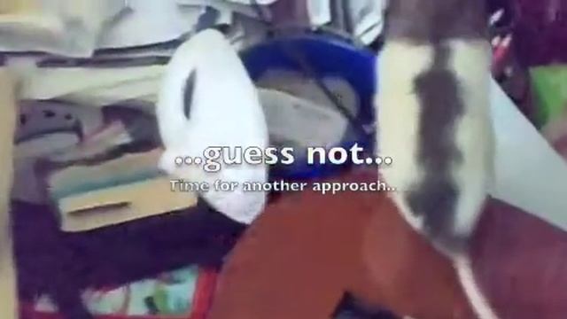 Fur Wars - The Rat Strikes Back смотреть онлайн